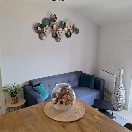 Апартаменты Appartement Cosy Idealement Place Centre Issoire-Superbe Vue Sancy Et Livradois-Forez-Wifi Иссуар