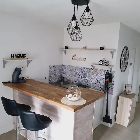 Cosy Centre Issoire-superbe Vue Sancy Et Livradois-forez-wifi