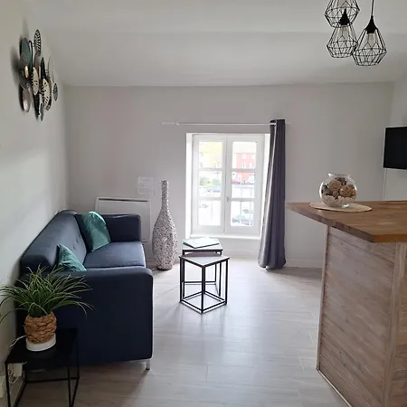 Cosy Centre Issoire-superbe Vue Sancy Et Livradois-forez-wifi * Issoire